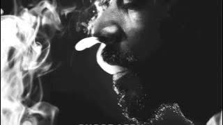 Snoop Lion - Smoke the Weed feat. Collie Buddz (Reincarnated)