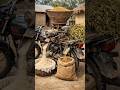 चना पेड़ को डाल चना निकालता है चना ऊपर डालो अपने आप सातूं निकलता है #shorts#viralvideo#desijugaad