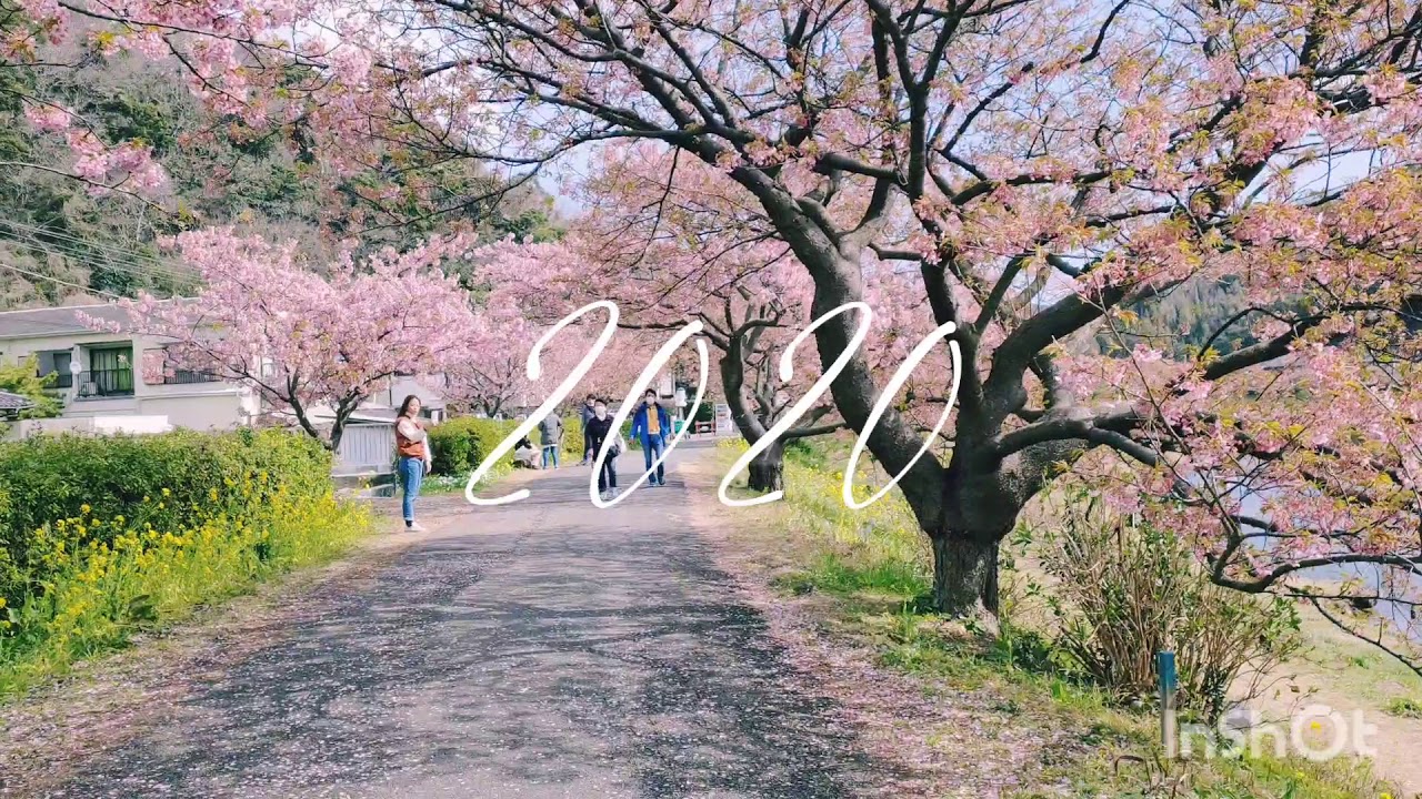 富士山 伊豆 Youtube