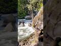 Hiking in woods along a river. 在沿河的树林中徒步