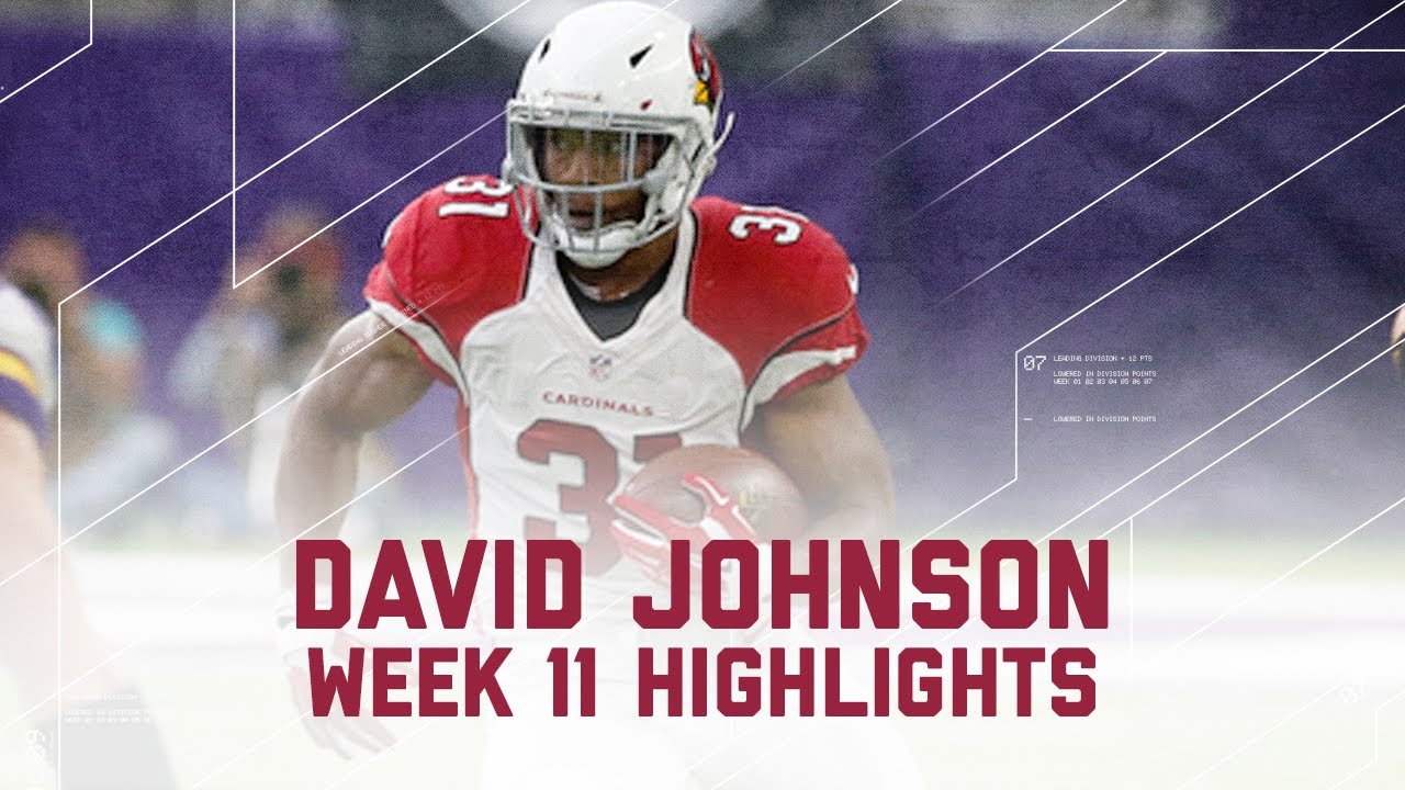 David Johnson Racks Up 2 TDs & 160 Total Yards! | NFL Wk 11 Player Highlights