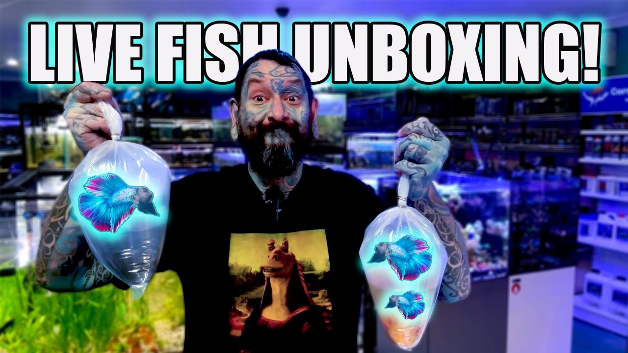 UNBOXING LIVE FISH I HAVEN'T SEEN FOR AGES! - YouTube
