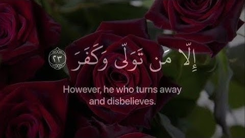 [ أفلا ينظرون إلى الأبل كيف خلقت ] قرأن كريم القارئ عبدالرحمن مسعد اخر سورة الغاشية