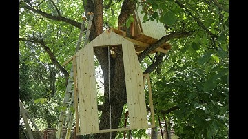 Building a Treehouse
