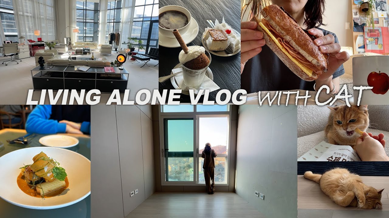 vlog_드디어 새집계약_다음달이사준비_광고촬영하고 맛도리와 함께하는 일상_구독자공구