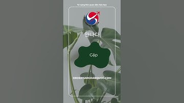 Order hàng Hàn Quốc - Học tiếng Hàn cùng orderhanghanquoc.com - Từ vựng liên quan đến hứa hẹn 3