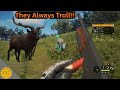 They Always Troll! theHunter: Call of the Wild