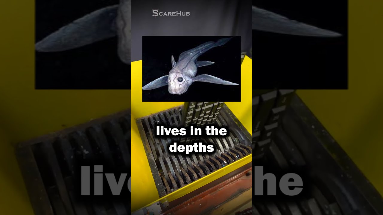 Creepy Animal Facts You Didn't Know... #shorts #creepy #animals