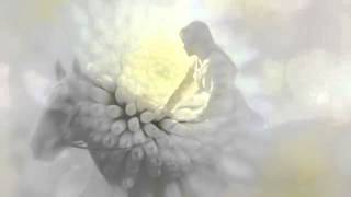 Download Whiter Shade Of Pale Annie Lennox Video MP3 Whiter Shade Of Pale Annie Lennox
