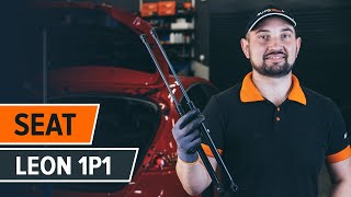 Replacing Tailgate strut on SEAT LEON: workshop manual