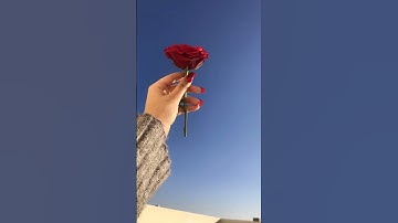 Thumbnail of #phonk #music #anime #animeedit #song #instagram #nature #reels #flowers #jiskeaanese