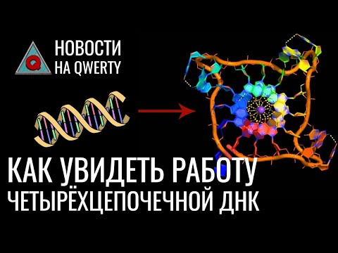 Инфу записали на бактерию, змеи ползают по-новому, фаги против супербактерий. Главное на QWERTY №155