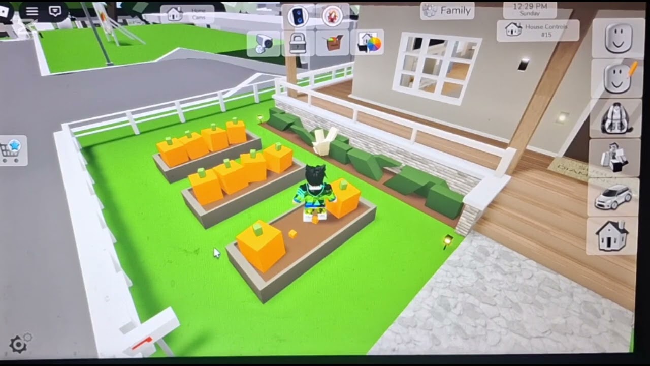 Ubdate Brokhaven rp odc.2