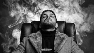 محمد نبيل    فزعة أسد       سمعها