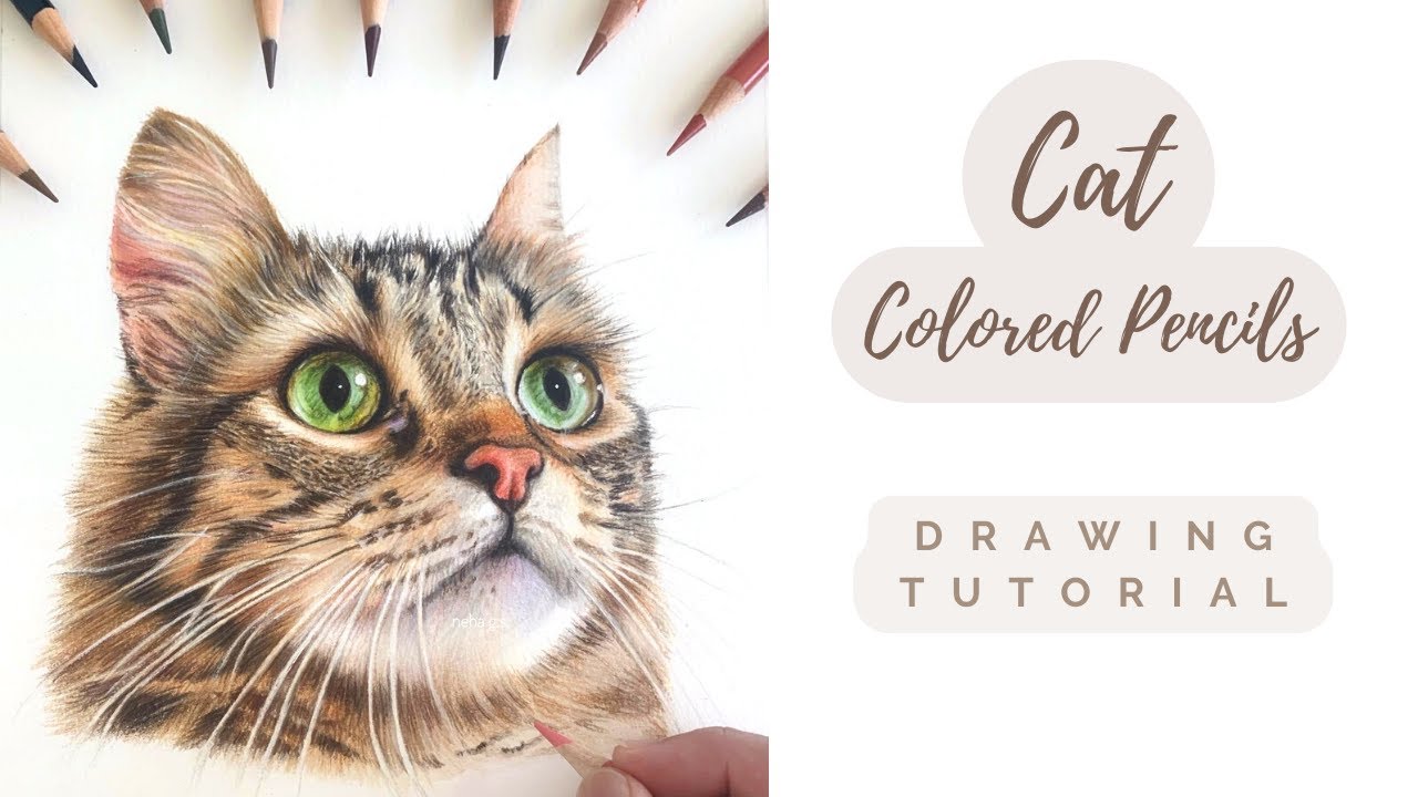 Cat with Colored Pencils// How to speed up colored pencil drawing//# ...