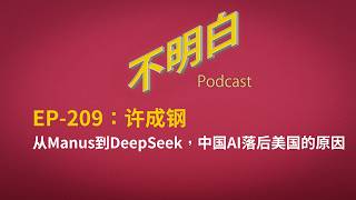 EP-209 许成钢：从Manus到DeepSeek，中国AI落后美国的原因  | 中美AI竞赛 | OpenClaw龙虾 | 肖弘 | 季逸超 | 中国经济 | 金融 | A股 | screenshot 3