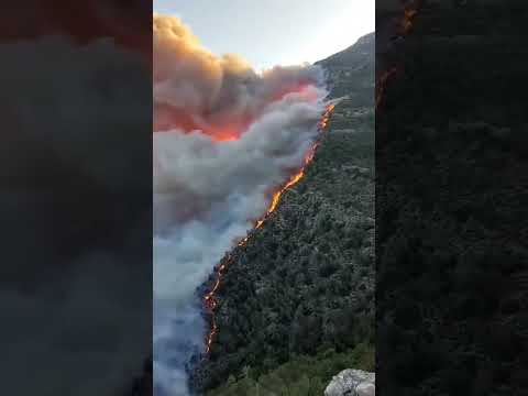 كفن من دخان يلتف حول جبال شامخة ونار تلتهم خ ضرة الأعمار قبل أن تورق ثانية