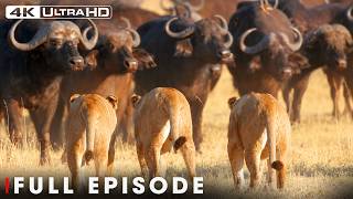 The Most Dangerous Prey in Africa | FULL EPISODE | Wildlife Documentary