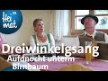 Dreiwinkelgsang - Aufdnocht unterm Birnbaum | Zsammg'spuit im Inntal | BR Heimat