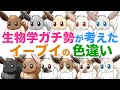 生物ガチ勢がイーブイの色違いを色々考えてメカニズムも解説しちゃう【ポケモン考察？】