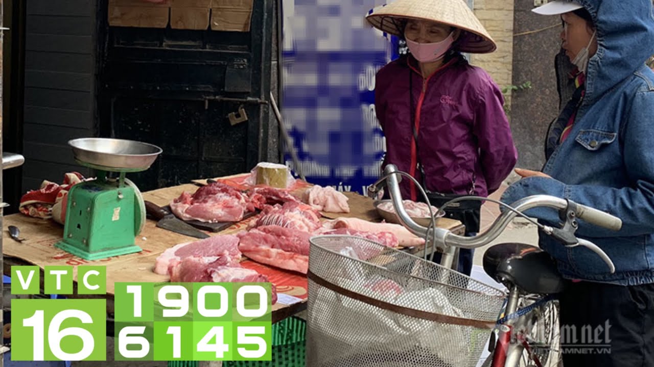 Đại biểu Quốc hội bức xúc vì giá thịt lợn quá cao | VTC16