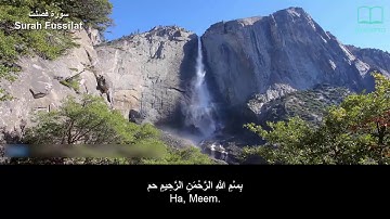 سورة فصلت - سعد الغامدي - مترجم | Surah Fussilat - Saad Alghamdi - English subtitles