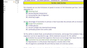 WizardTM.com Saving Exams