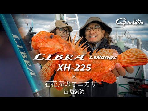 釣りバカおじさん。 LIBRA EXRange】絶品！明日から釣れるオニカサゴ釣り方🔰 in