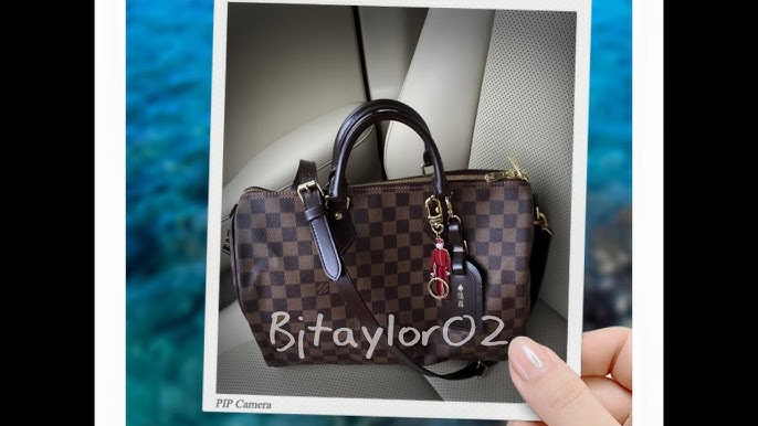 Louis Vuitton Delightful PM/MM/GM Bag Reference Guide – Bagaholic