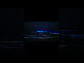 夜光虫│鎌倉│由比ヶ浜│Noctiluca scintillans