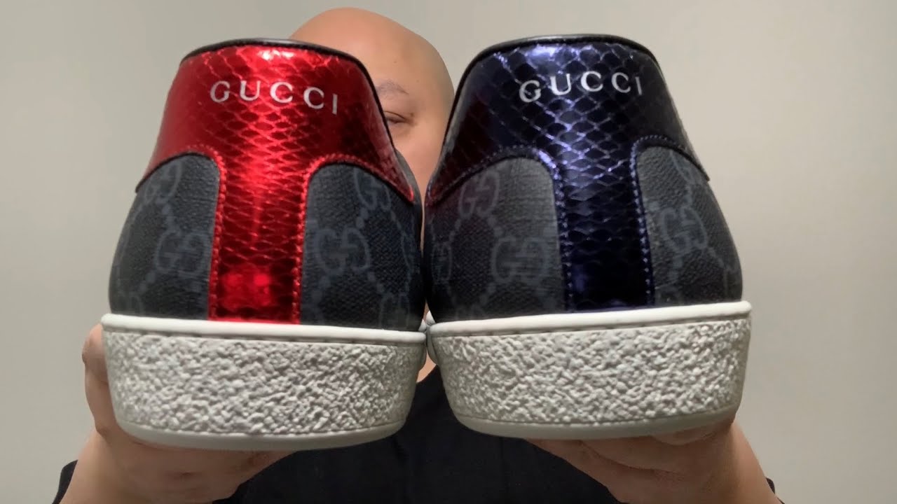 ace gg supreme sneaker review