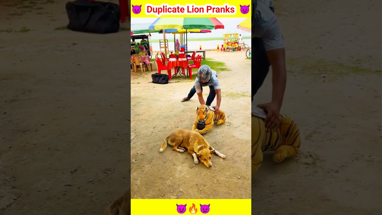 😈🔥  Duplicate Lion pranks  🔥😈 || #shorts