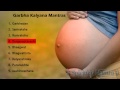 Garbha Kalyana Mantras ( Full Mantras ) || Garbhadan || Samraksha || Ramraksha || Durgasaptasashi