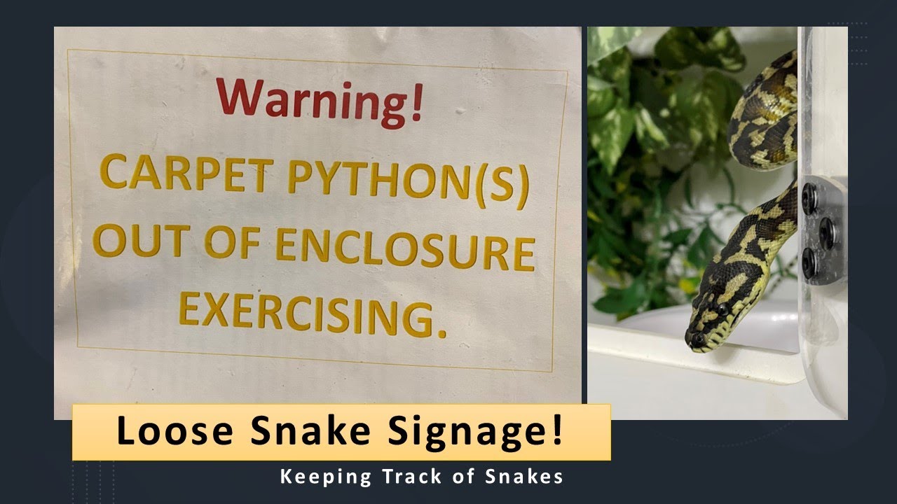 Loose Snake Signage! YouTube