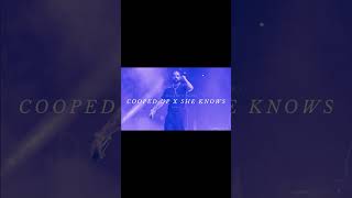 cooped up x she knows [sped up] - drake x post malone (part 3) #shorts #remix