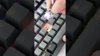 Dareu Ek87 Pro Launching Mexico