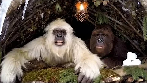 Yeti and Bigfoot VLOG - Episode 1