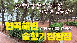 연곡해변솔향기캠핑장 #캠핑장 #오토캠핑 #강원도캠핑장