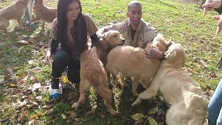 Petland Frisco Breeder Trip