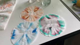 STEAM Experiments with Miss Corrina: Chromatography