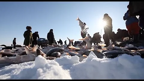 Winter Fishing Season Begins on Northeastern China's Chagan Lake