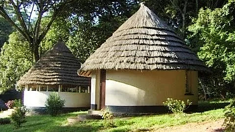 Chirinda Forest, Zimbabwe. Travel guide.