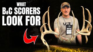 Inside the Mind of a Boone & Crockett Scorer | w/ Cameron Coble
