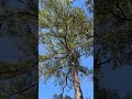 Blue Skies, Beautiful Day-Stay Calm and Enjoy Life