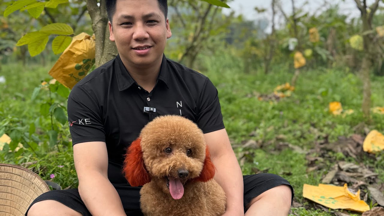 Vườn Na To Khủng Khiếp 