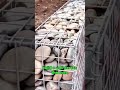 how to deal with landslides on river banks #shorts #reaction #education