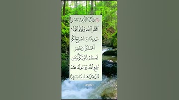 #سورة_الأحزاب #ايات_قرانيه_قصيره #shayari #shots #shotsyoutube #shots_video