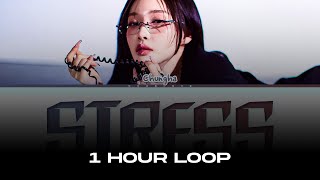 [1 HOUR] CHUNG HA STRESS Lyrics (Color Coded Lyrics) Net Worth