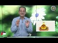 فوائد زيت الخروع والتحذير من بذر الخروع ونصائح مــع خـبـيـر الاعشاب حسن خليفه رحمه الله تعالى 
