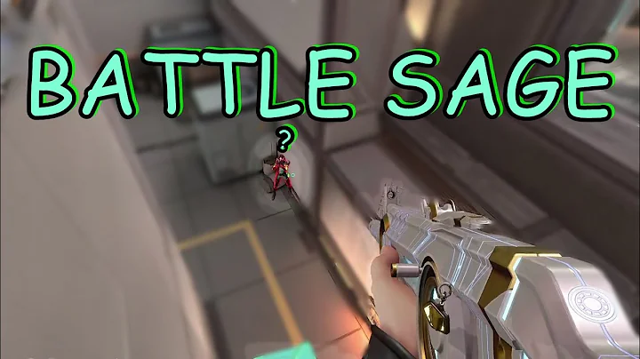 THIS SAGE IS BATTLE SAGE